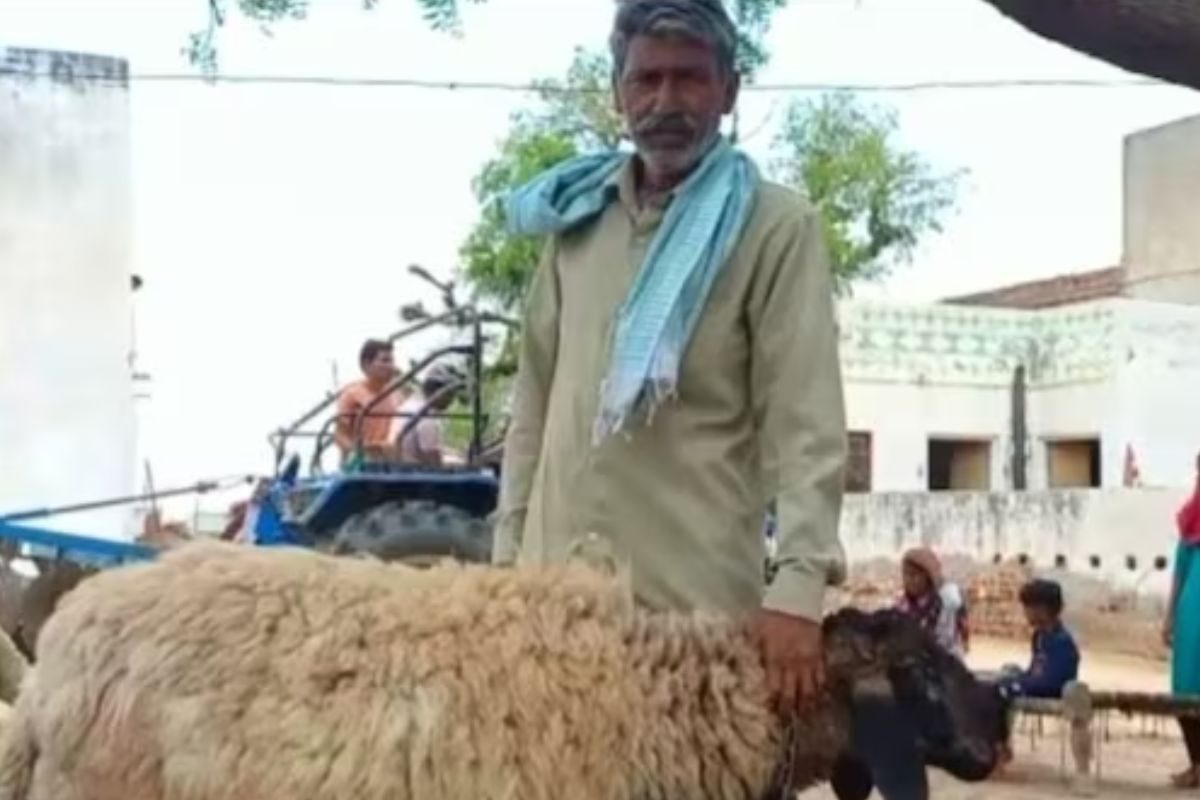 सोर्स : GOOGLE