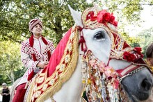 नवरदेव घोड्यावर का चढतो? लग्नातील या महत्वाच्या परंपरेबद्दल तुम्हाला माहितीय?