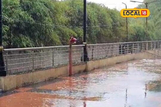 Beed News: साचलेल्या पाण्यात पाय ठेवताय? आधी ही बातमी वाचा, जीवही जाऊ शकतो!
