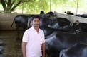 नोकरी सोडली अन् घेतल्या गाई, म्हशी; शेतकरी पुत्र करतोय लाखोंची कमाई, Photos