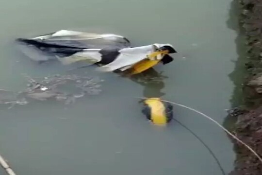 भिवंडीमध्ये रिक्षाचा भीषण अपघात, तिघांचा मृत्यू