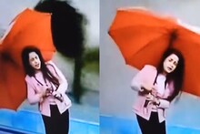 Oh No! स्टुडिओत बिपरजॉय चक्रीवादळाची बातमी देता देता उडाली अँकर; पाहा LIVE VIDEO