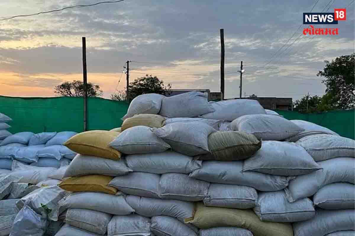 बोगस बियाणे