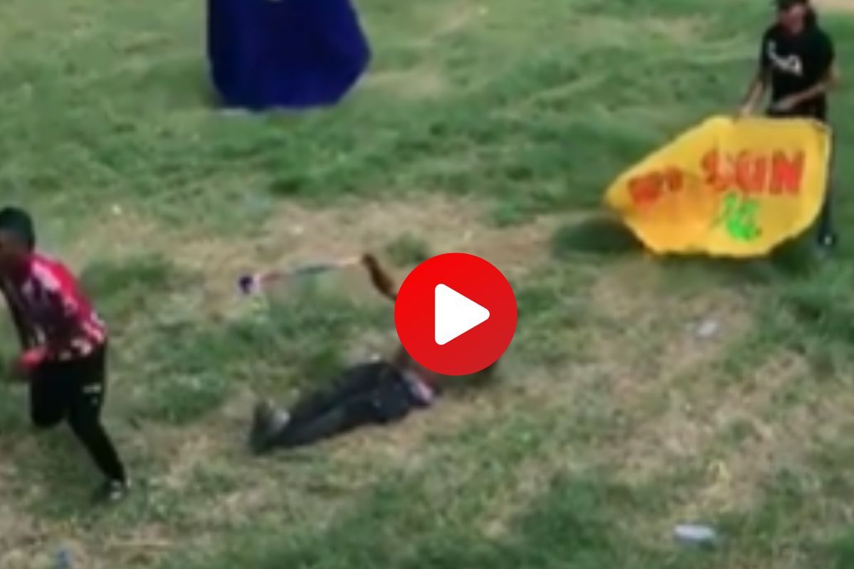 व्हायरल व्हिडीओ