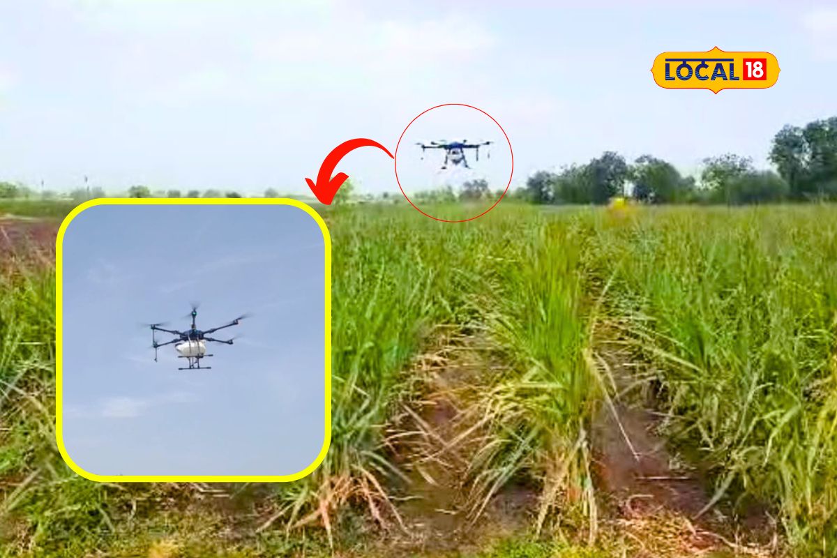 Chhatrapati Sambhaji Nagar : 8 मिनिटात होणार एक एकरात फवारणी, शेतकऱ्याने केली ड्रोनची खरेदी, काय आहेत आणखी फायदे?