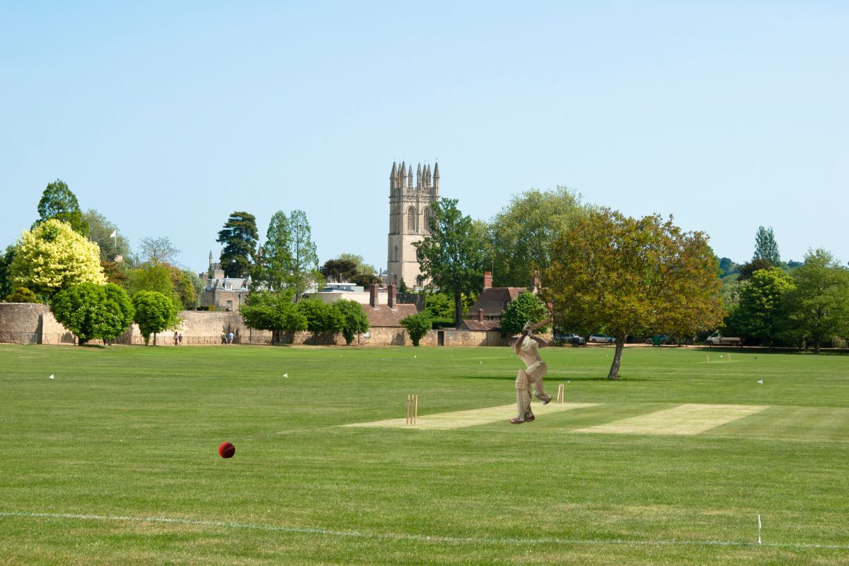 प्रतिकात्मक फोटो