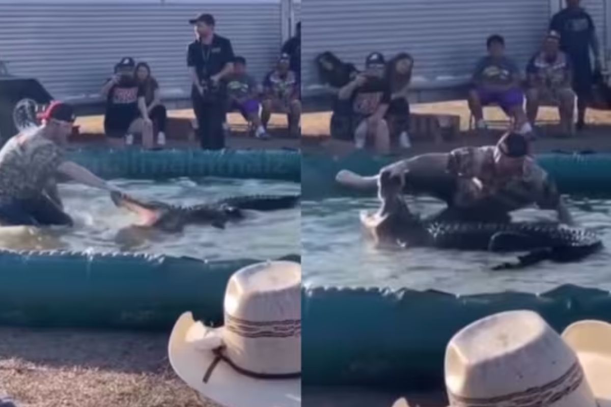 मगरीचा व्यक्तीवर जीवघेणा हल्ला