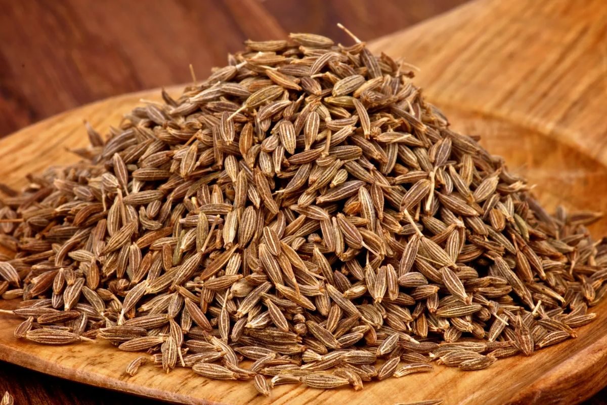 जिऱ्याला 70,000 रुपये क्विंटलचा भाव? अचानक झालेल्या या दरवाढीमागे काय आहे कारण?