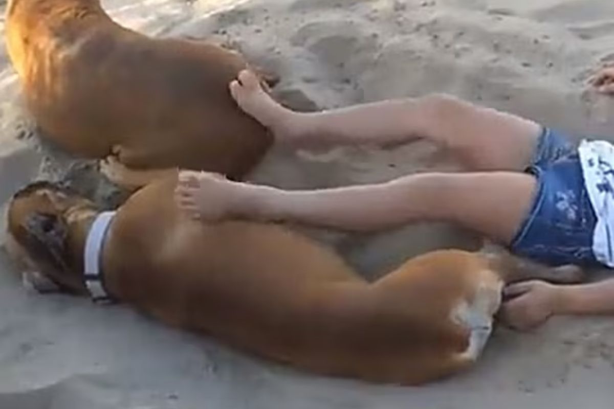 कुत्र्याने मुलीला शिकवला धडा