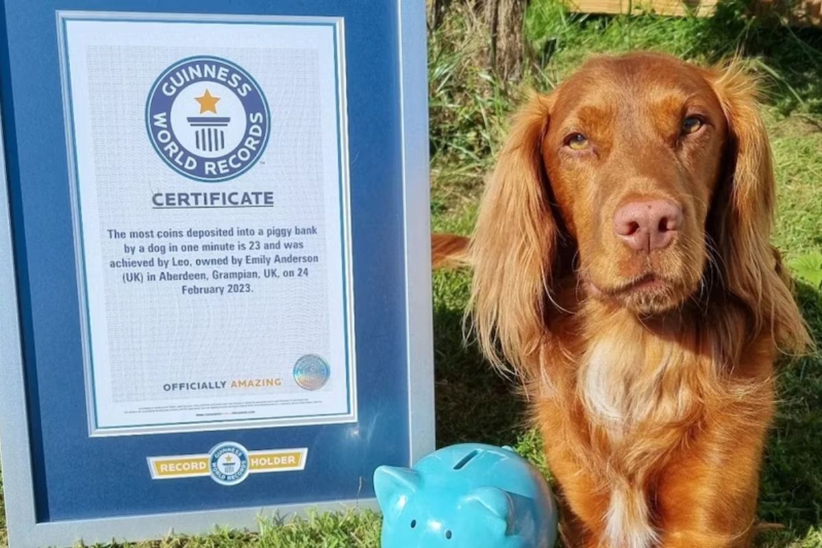 सोर्स : सोशल मीडिया