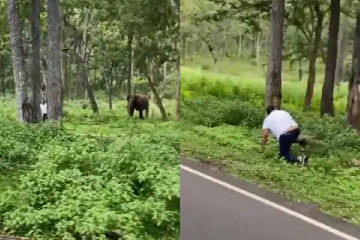 जंगलात घुसलेल्या व्यक्तीच्या मागे धावू लागला चवताळलेला हत्ती