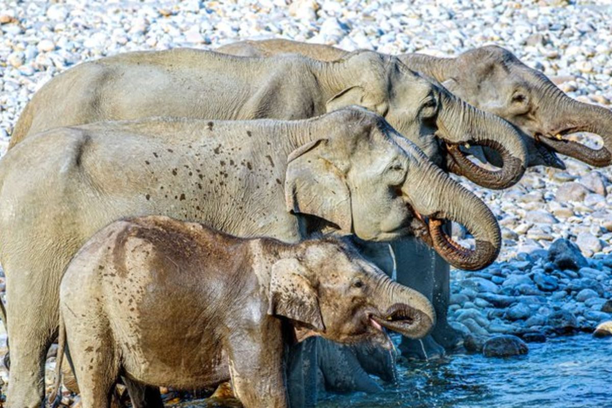 सोर्स : सोशल मीडिया