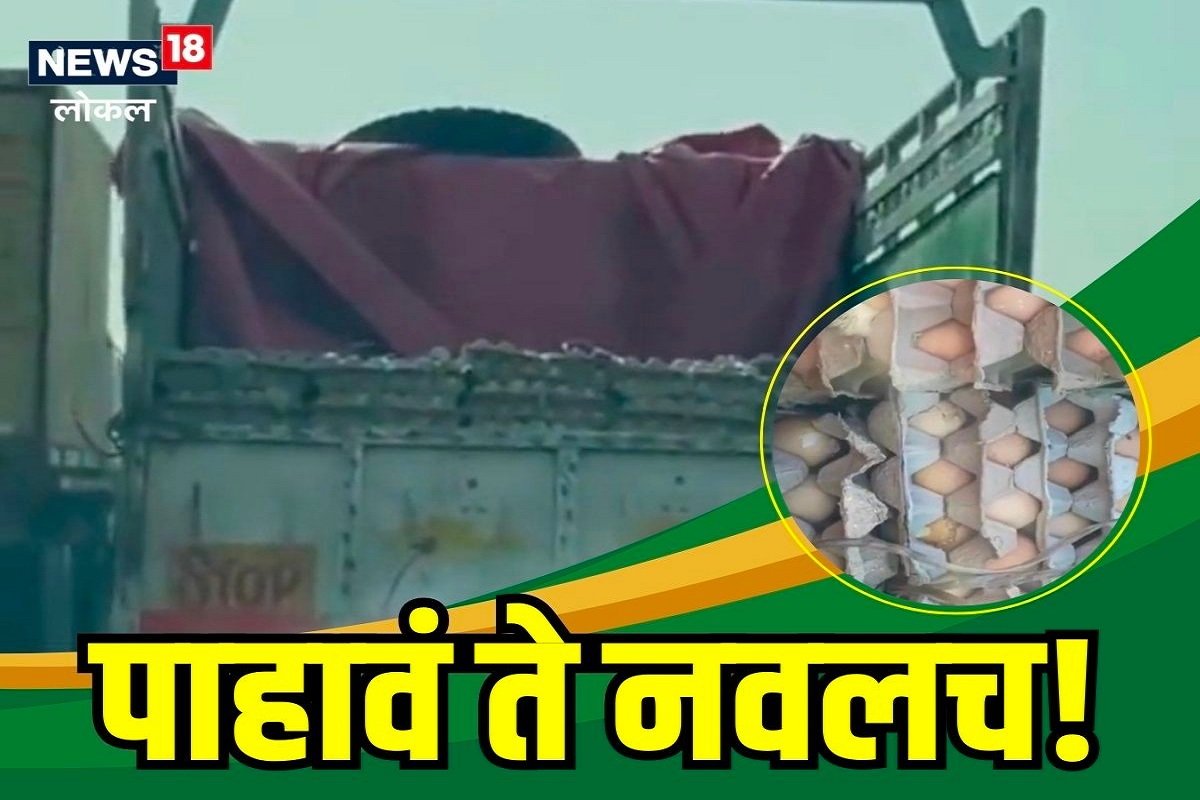 Nagpur News: चालत्या गाडीत अंड्यातून पिल्लं बाहेर, Viral व्हिडिओ मागचं गुपित काय? Video