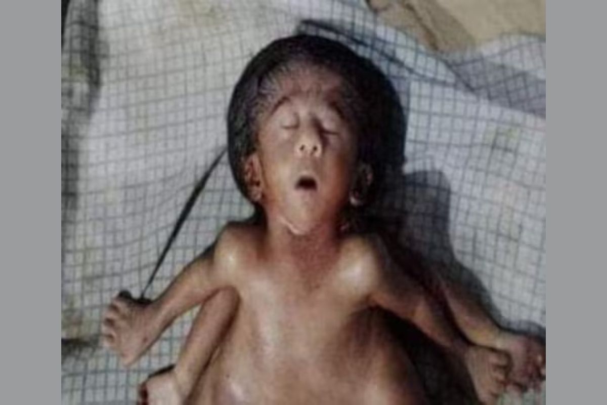 नवजात बाळ