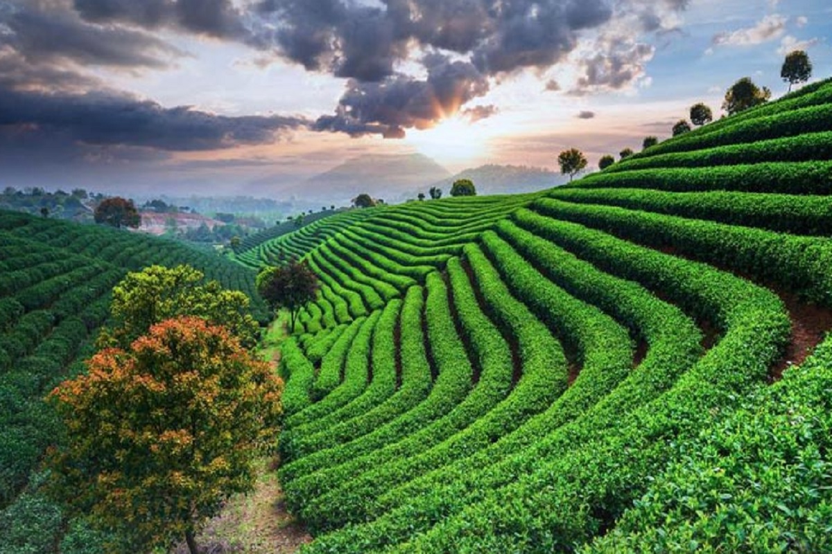 आयआरसीटीसी टूर पॅकेज