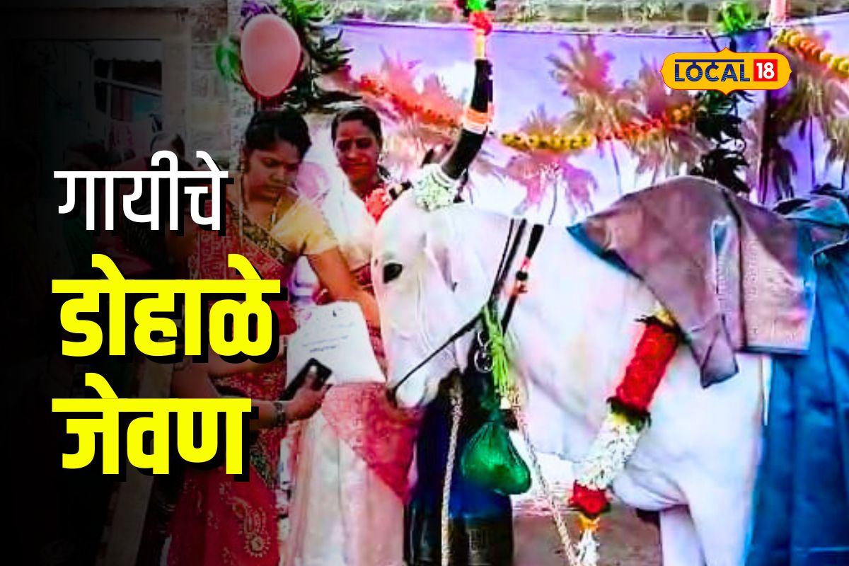Kolhapur News : गौराई आमची लाडाची गं, शेतकऱ्यानं घातलं गाईचं डोहाळे जेवण, VIDEO