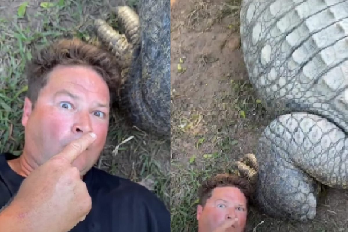 मगरीसोबत झोपली व्यक्ती (फोटो - इन्स्टाग्राम व्हिडीओ ग्रॅब)