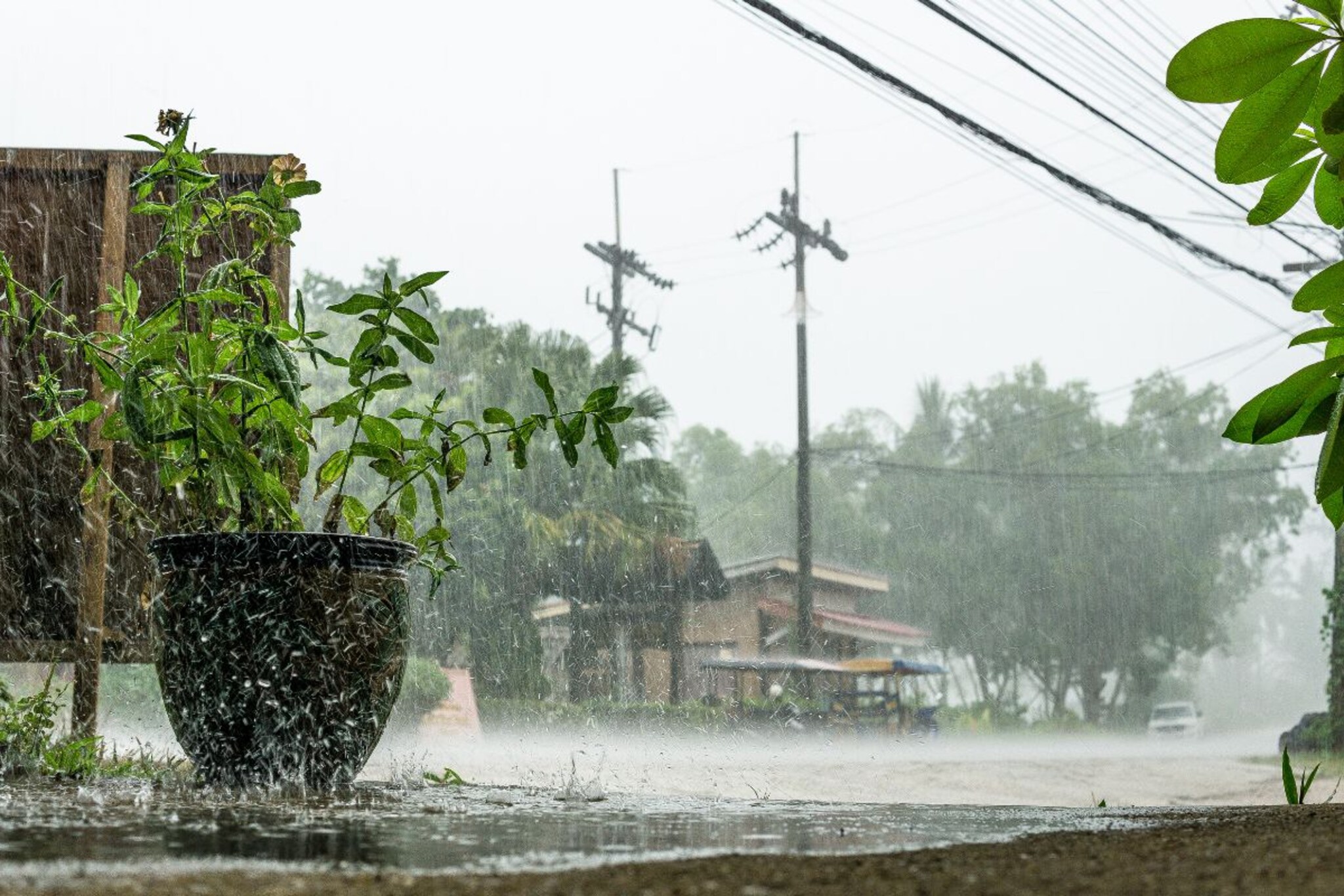 पुढील काही दिवस पावसाचा जोर ओसरणार; मान्सूनबाबत हवामान विभागाचा नवा अंदाज
