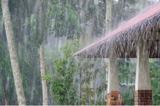 Monsoon Update : कुठपर्यंत आला मान्सून; महाराष्ट्रात कधी बरसणार?