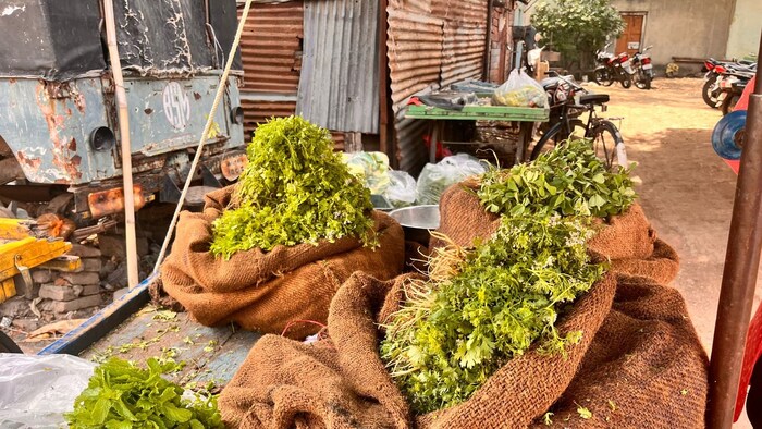 पावसाने ओढ दिल्याने मार्केटमधील भाजीपाल्याची आवक घटली आहे. त्यामुळे भाज्यांच्या दरात मोठी वाढ झाली असून सर्वसामान्यांचे आर्थिक गणित बिघडले आहे.