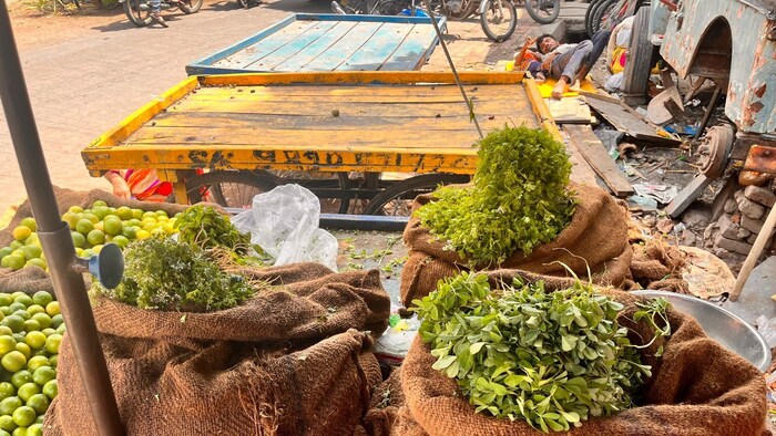 पेरणीसह शेतीची सर्व कामे खोळंबली असून महागाईनेही कंबरडे मोडण्याची स्थिती आहे. भाजीपाल्यांचे दर गगनाला भिडले आहेत.
