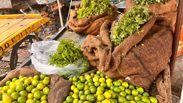 शाकाहारी आणि मांसाहारी या दोन्ही जेवणांमध्ये सर्वाधिक वापर होणारा लसूण आणि आलेही महाग झाले आहे. लसणाचा दर 90 रुपयांवर तर आले 220 रुपये प्रति किलोवर गेला आहे.