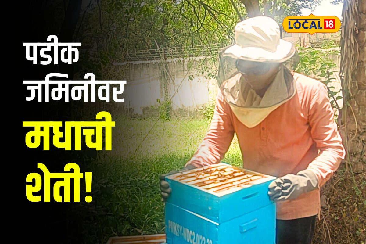 Nagpur News: तरुणाची भन्नाट शक्कल, पडीक जागेत बाग फुलवली अन् मधाची शेती केली, Video