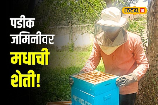 Nagpur News: तरुणाची भन्नाट शक्कल, पडीक जागेत बाग फुलवली अन् मधाची शेती केली, Video