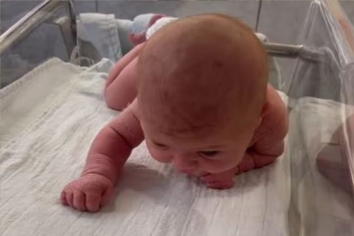 चालणारं नवजात बाळ (फोटो - इन्स्टाग्राम व्हिडीओ ग्रॅब)