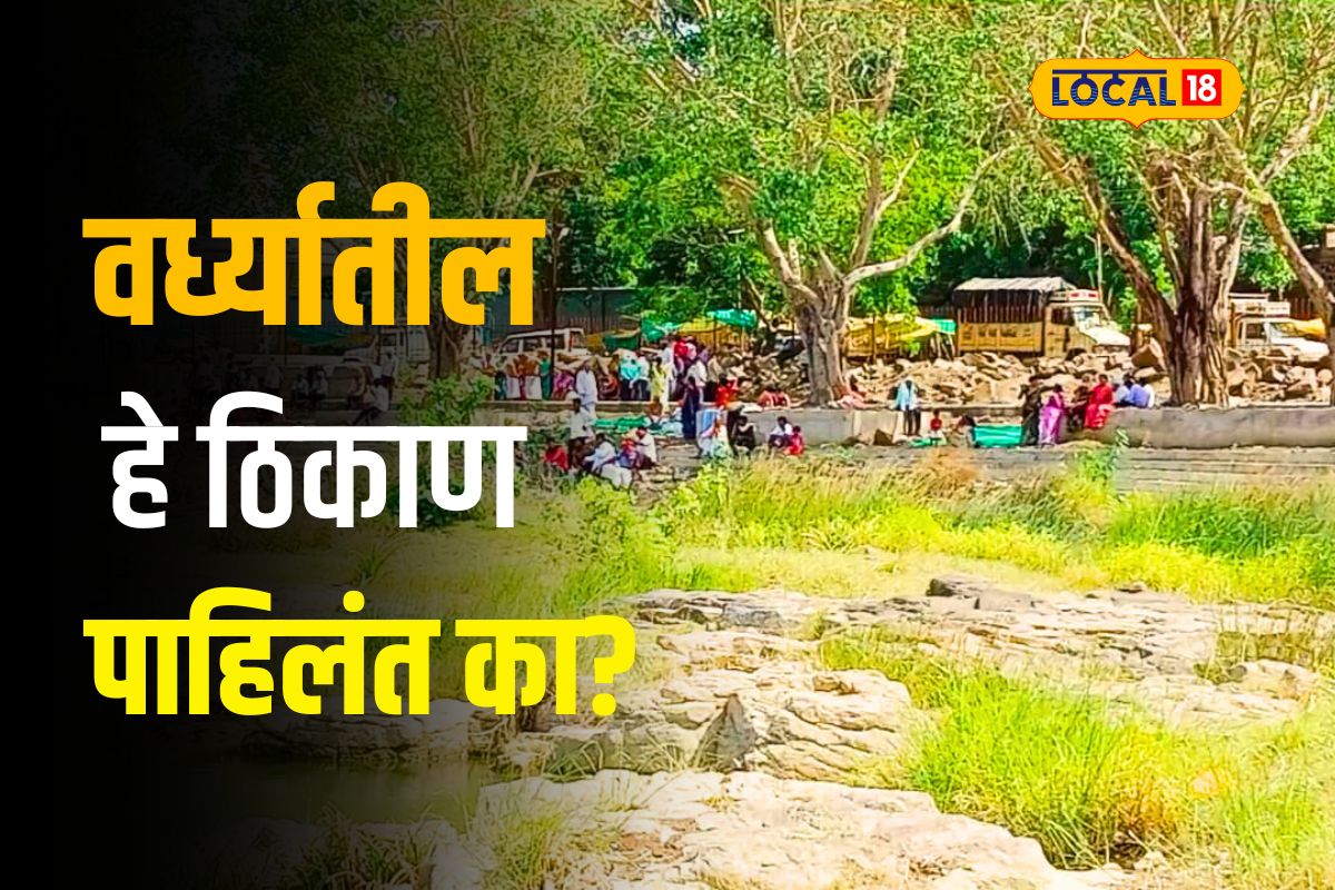 Wardha News: पिकनिकला जायचंय? वर्ध्यातील 'या' ठिकाणाला भेट दिलीत का? Video