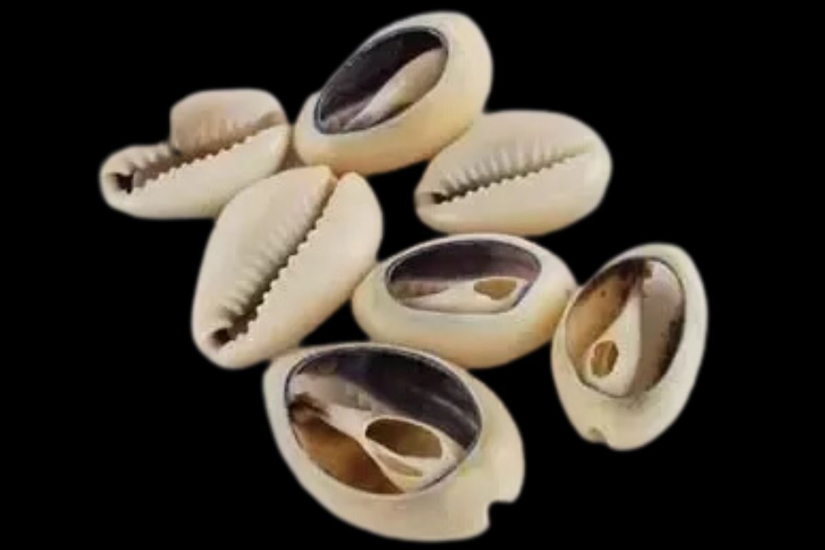 सोर्स : सोशल मीडिया