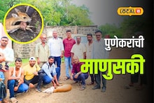 माणुसकी जिवंत आहे! भटकंतीसाठी गेलेल्या तरुणांनी वाचवला भेकराचा जीव, Video