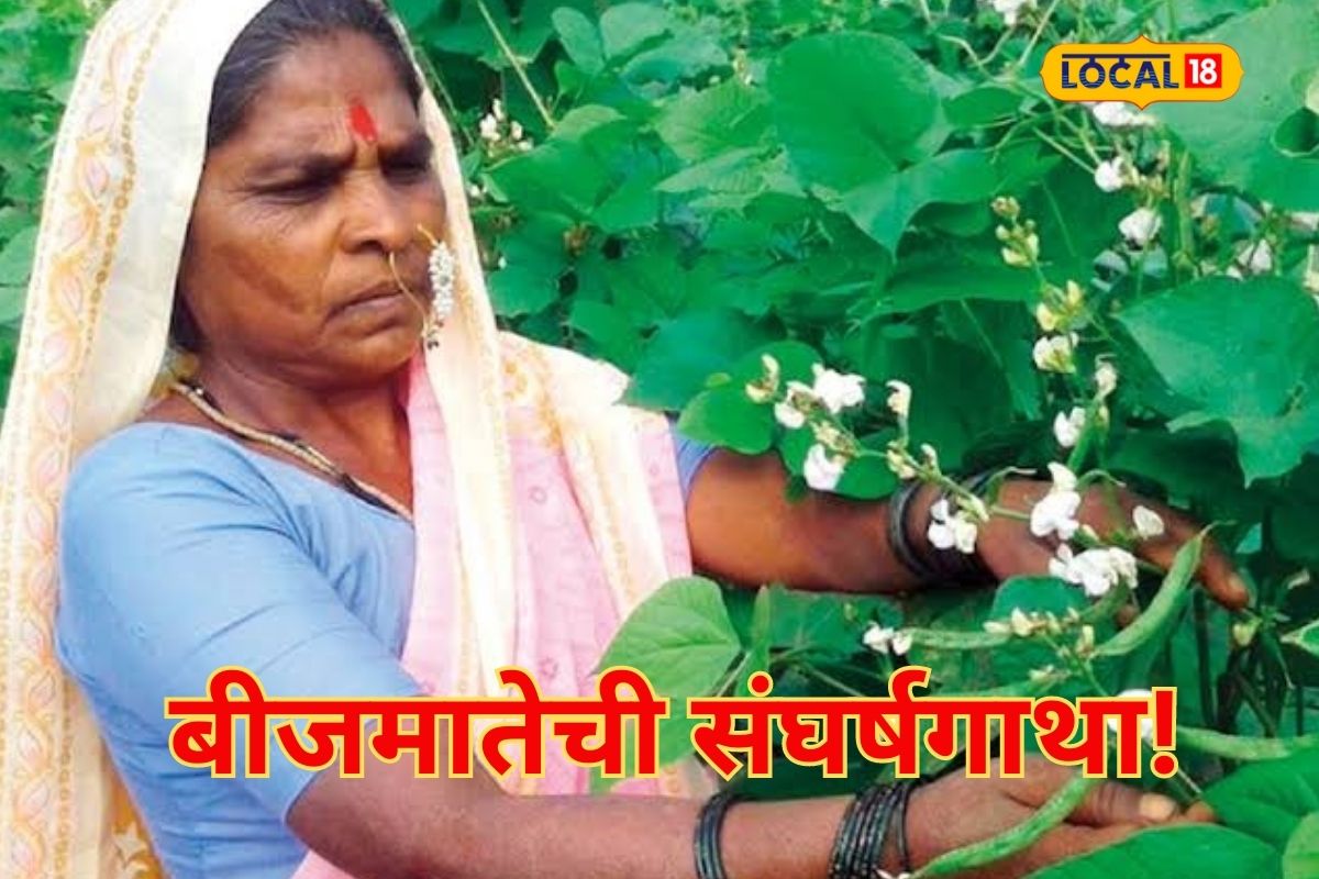 Inspiring Story: बीजमाता राहीबाई पोपेरे यांनी कशा प्रकारे तयार केली 250 वाणांची बँक?