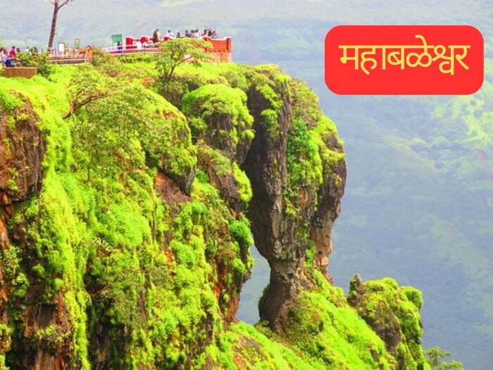 महाबळेश्वर : रोड ट्रीपसाठी मुंबई, पुण्याच्या लोकांसाठी महाबळेश्वर उत्तम ठिकाण आहे. महाबळेश्वर मॅप्रो गार्डन, स्ट्रॉबेरी आणि आजूबाजूच्या हिरव्या टेकड्यांसाठी ओळखले जाते. दरवर्षी पावसाळ्यात अनेक लोक महाबळेश्वरची ट्रिप करतात. 