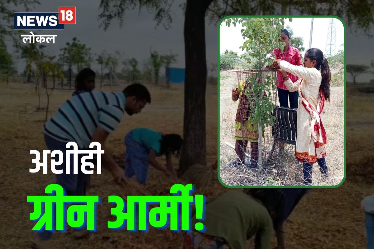 Sangli News: जिथं पाणी मिळणं कठीण झालं तिथं विद्यार्थ्यांनी वाचवली वनराई! गावाचं पालटलं रुप, Video