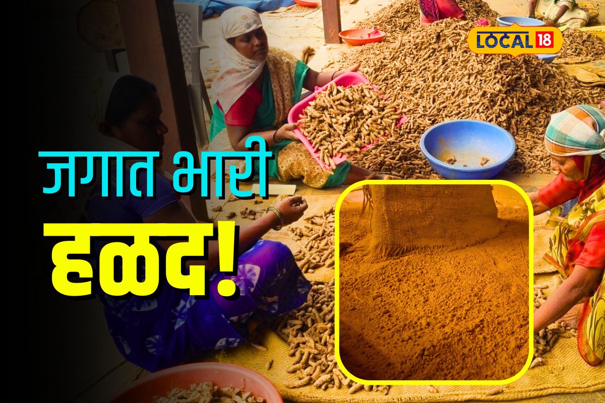 Sangli News: सांगलीची हळद जगात का आहे भारी, काय आहे नेमकं कारण? Video