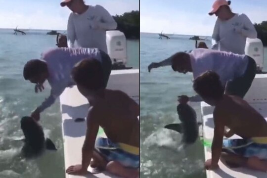 व्यक्तीवर शार्कचा हल्ला