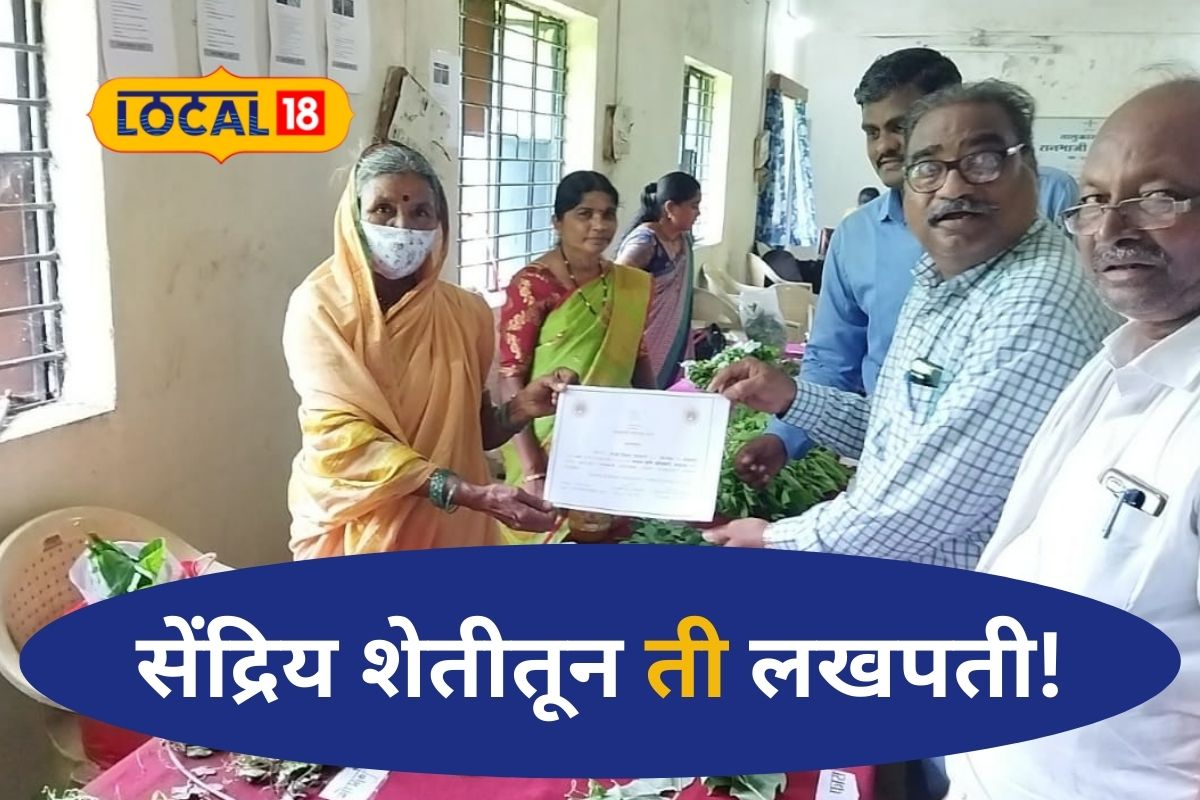 Nagpur News: सेंद्रिय शेतीतून समृद्धी, महिला शेतकरी करतेय लाखोंची उलाढाल, Video