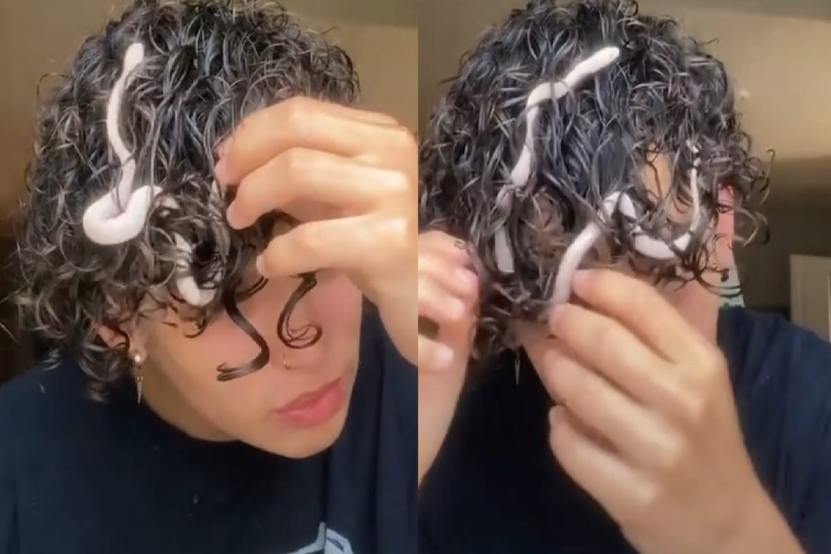 केसात साप (फोटो - इ्न्स्टाग्राम व्हिडीओ ग्रॅब)