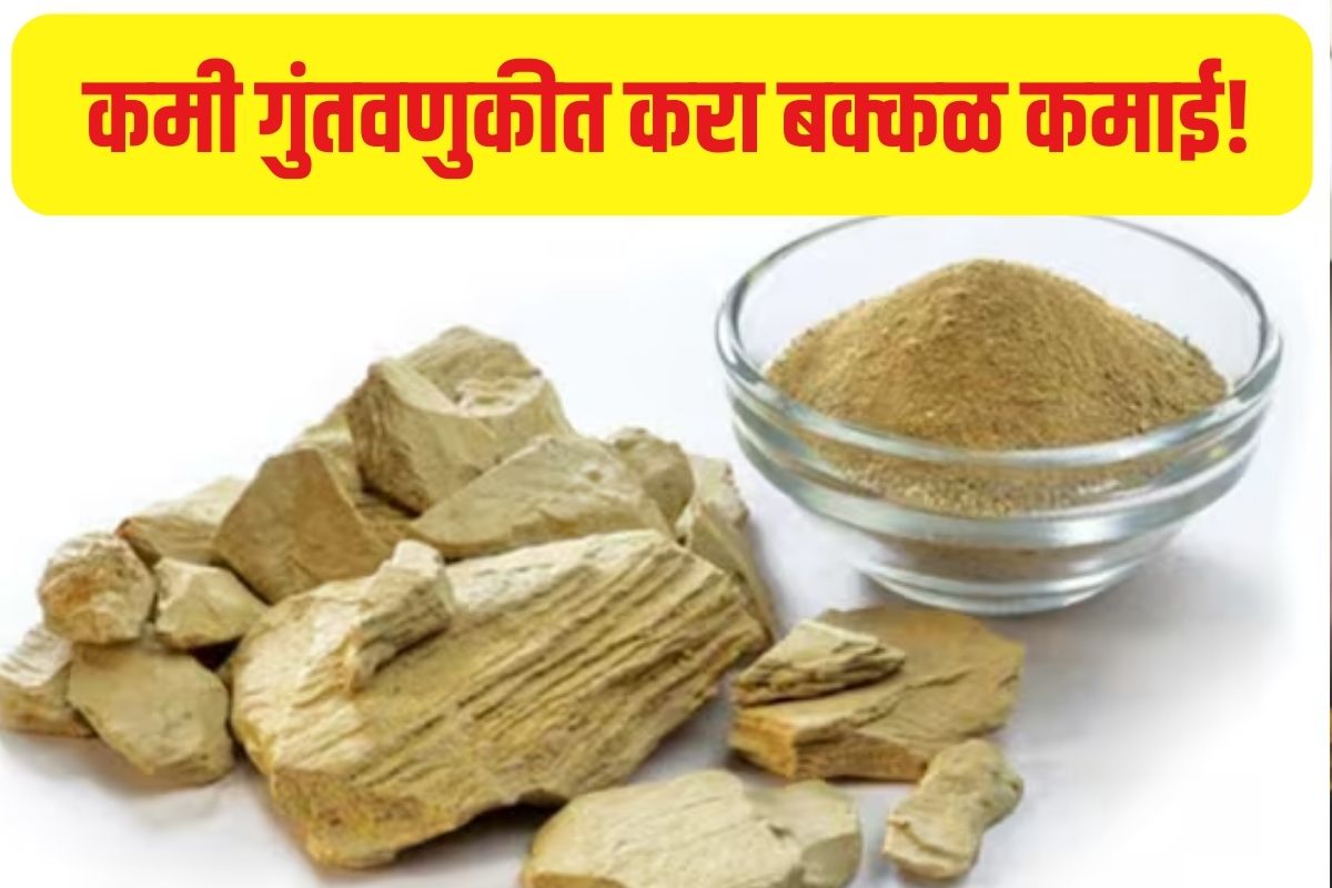 मुलतानी माती बिझनेस