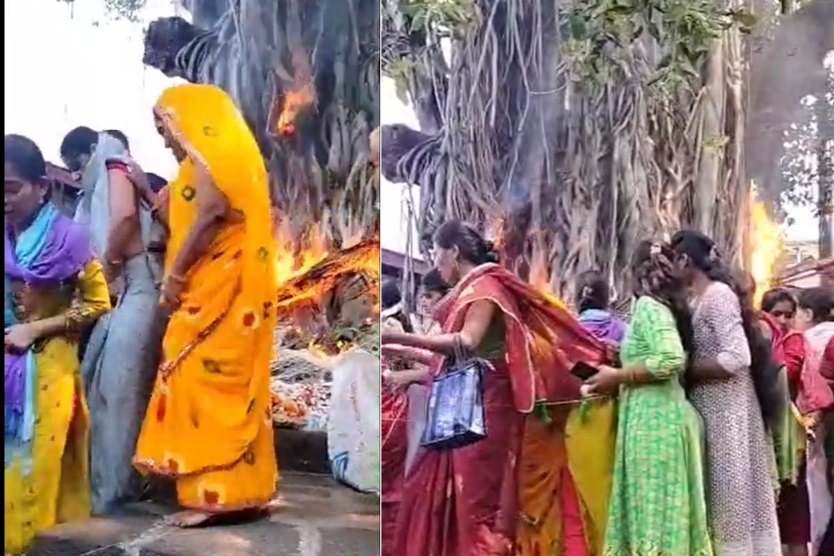 नवऱ्याच्या दीर्घायुष्यासाठी पूजा करायला गेली अन् वडाचं झाडचं पेटवून आली; कोल्हापूरातील Video Viral