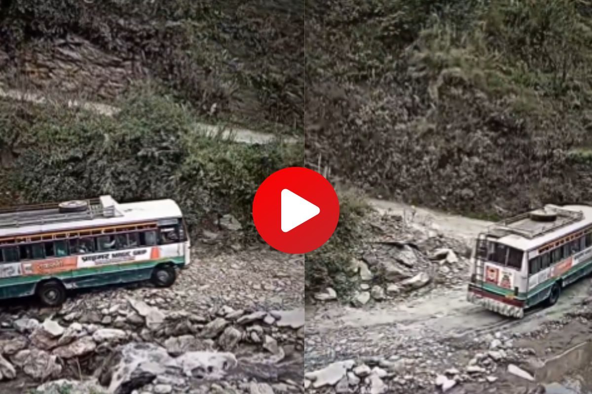 व्हायरल व्हिडीओ