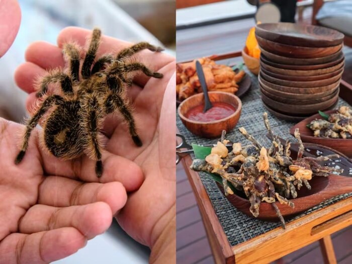 तळलेले टॅरंटुला - जर तुम्हाला मासे पाहून किळस येत असेल, तर जरा थांबा, कारण कंबोडियामध्ये याहूनही घृणास्पद पदार्थ स्नॅक्स म्हणून खाल्ले जातात. येथे टॅरंटुला कोळी तळून खातात. 1970 च्या दशकात पोल पॉट नावाचा हुकूमशहा कंबोडियात होता तो तिथला पंतप्रधानही झाला. त्याच्या काळात खाण्यापिण्याची एवढी टंचाई होती की लोक जे खायला मिळेल ते खात असत. फक्त याच कारणासाठी तेथील लोक कोळी तळून खाऊ लागले. तेथील आजही काही लोक हे खातात.