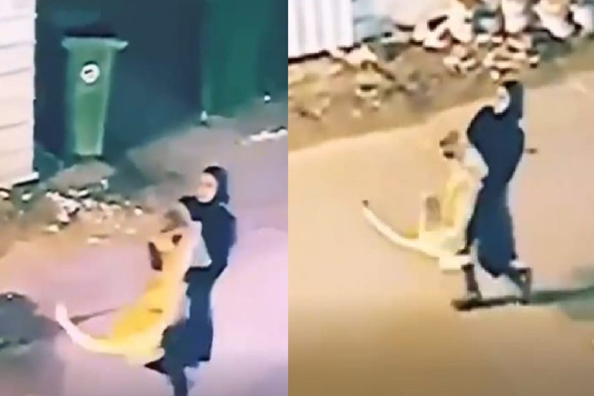 महिलेने सिंहाला उचललं