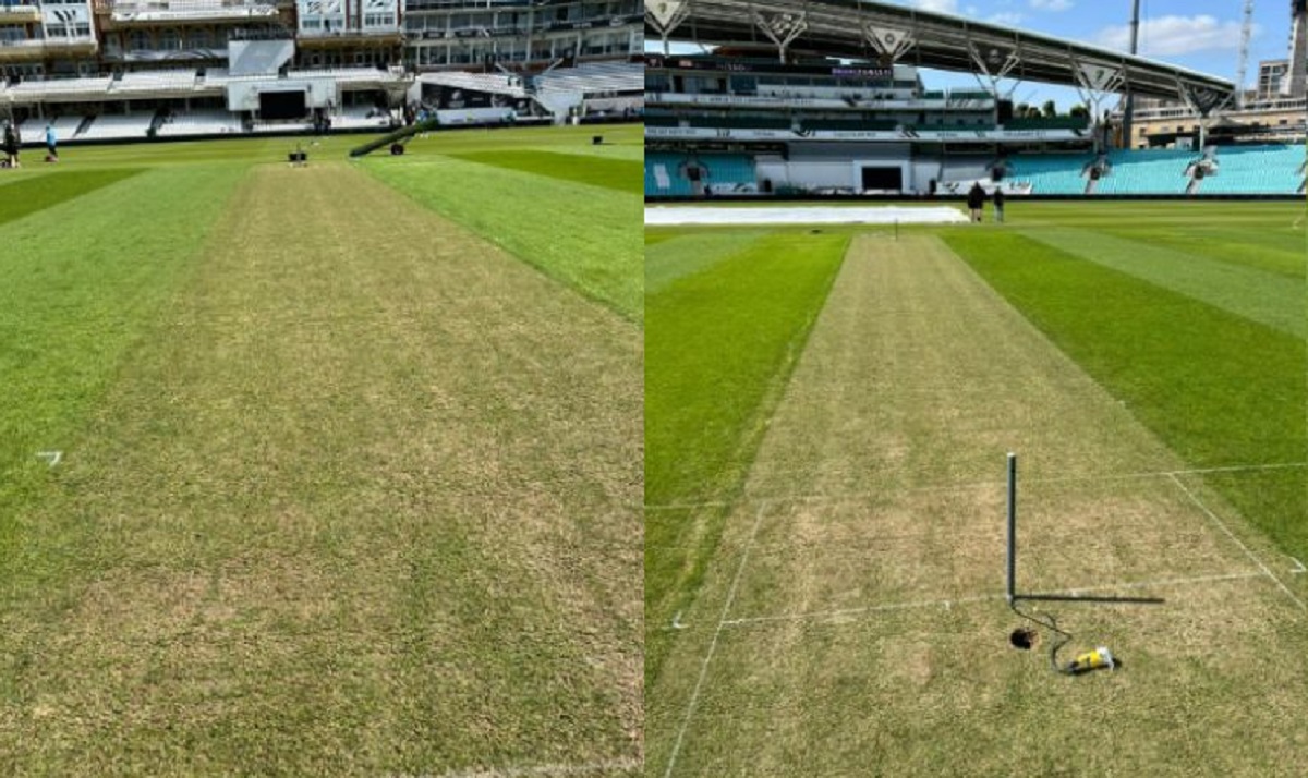 वर्ल्ड टेस्ट चॅम्पियनशिपसाठी दोन खेळपट्ट्या