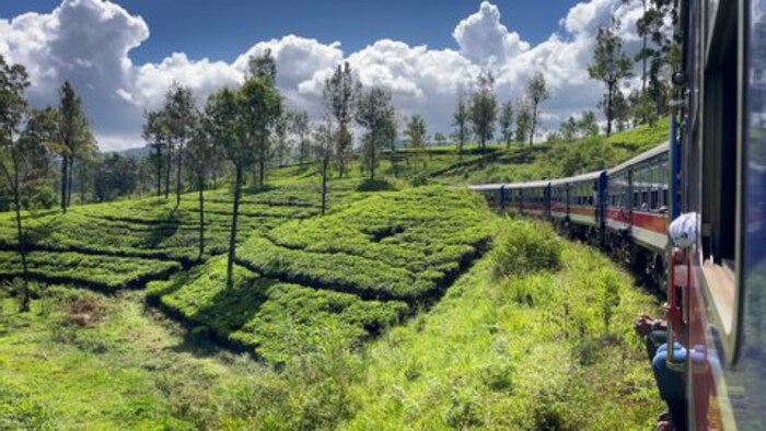 दार्जिलिंग हिमालयन रेल्वे: जलपायगुडी ते दार्जिलिंग हा रेल्वे मार्ग देखील खूप सुंदर आहे. हा मार्ग तुम्हाला सुंदर बागांमधून घेऊन पर्वतांच्या उंचीवर घेऊन जातो. दार्जिलिंग हे भारतातील अतिशय सुंदर रेल्वे स्टेशन आहे.