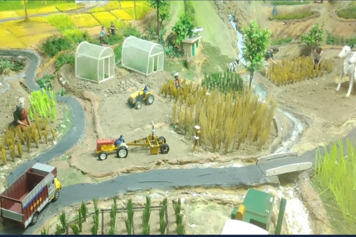 गहू शेती