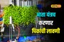 अभियांत्रिकीच्या विद्यार्थ्यांनी बनवलं यंत्र, एका तासात 7 हजार रोपांची लावणी