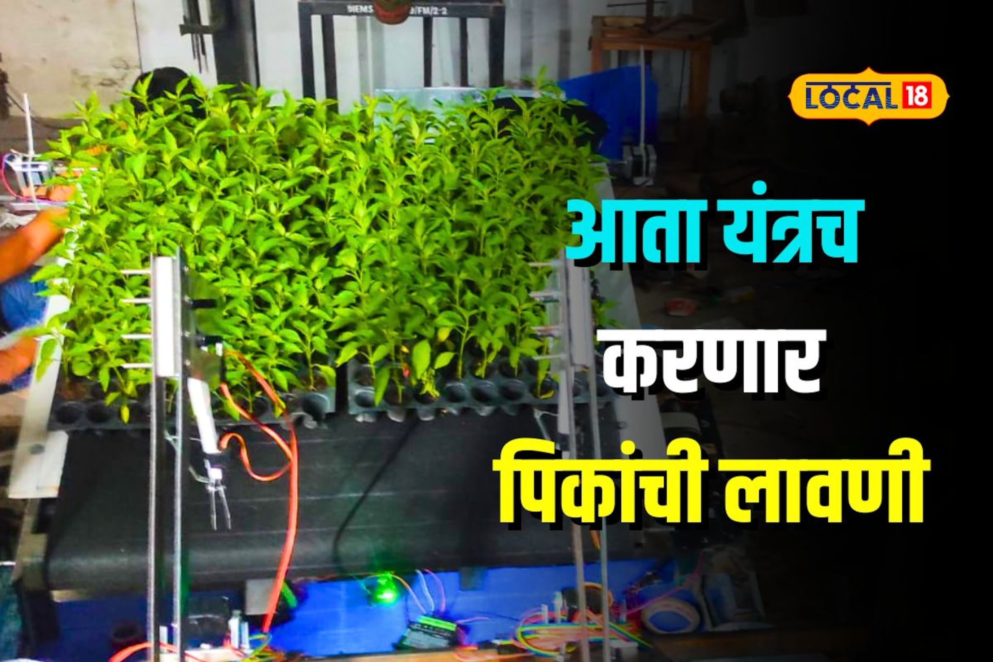 अभियांत्रिकीच्या विद्यार्थ्यांनी बनवलं यंत्र, एका तासात 7 हजार रोपांची लावणी अभियांत्रिकीच्या विद्यार्थ्यांनी बनवलं यंत्र, एका तासात 7 हजार रोपांची लावणी