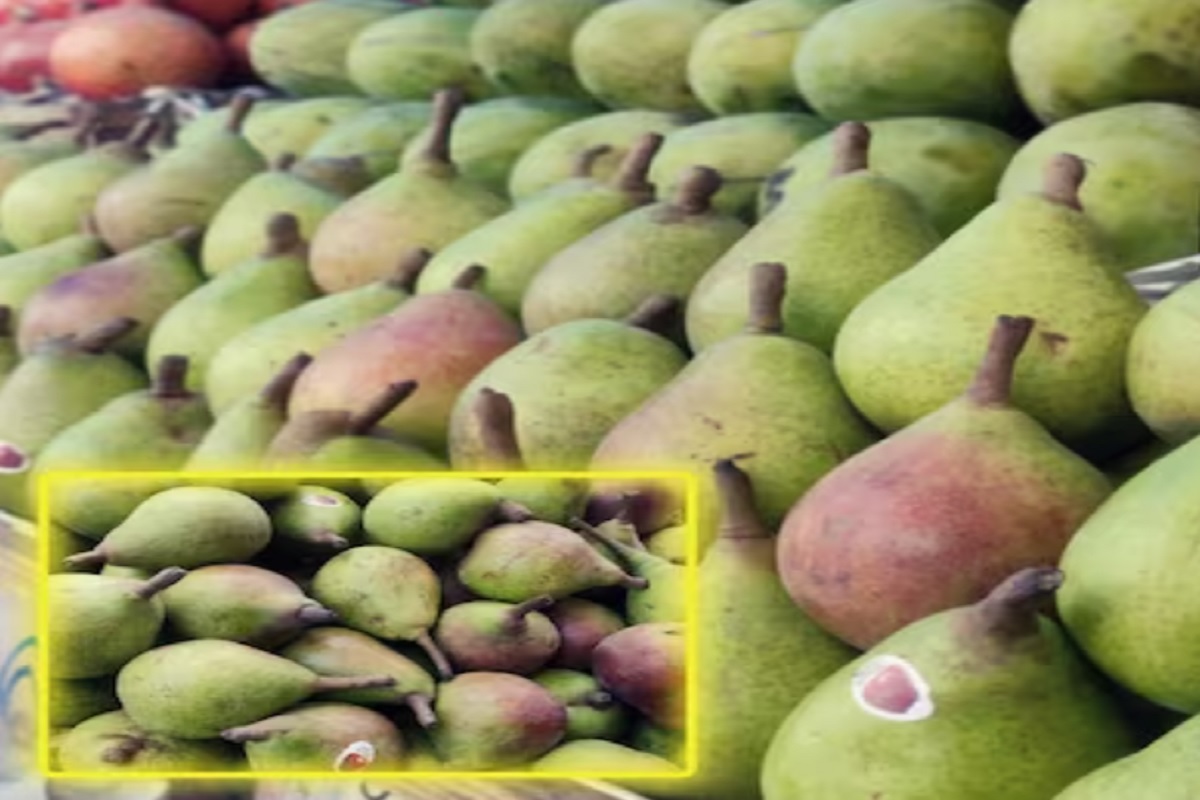बाजारात हिरवं आणि लाल अशात दोन प्रकारांत हे फळ उपलब्ध असतं.
